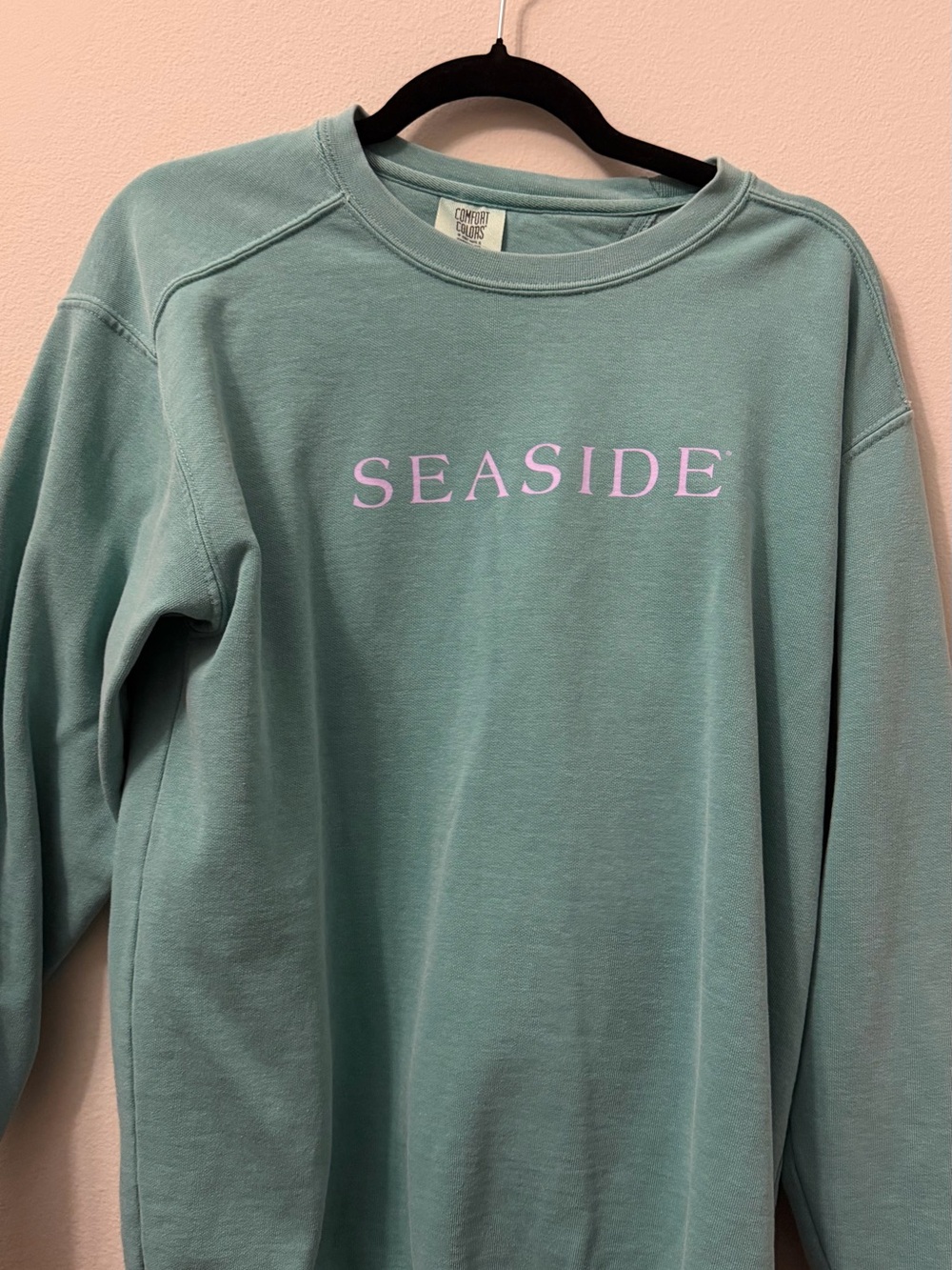 Comfort Colors Mint Green Crewneck Tee with Subtle Label - Picture 1 of 2